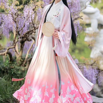 Kitajski Tradicionalni Hanfu za Ženske Tang Dinastije 2023 Pomlad Vrh Krilo Dolgo Robom Obleko Kostume Fusion Roza 3M 3PCS Popolne Obleke